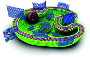 Graphical abstract: Physical principles of graphene cellular interactions: computational and theoretical accounts