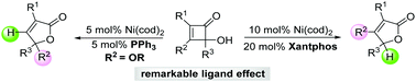 Graphical abstract: Nickel-catalyzed ring-opening of α-hydroxycyclobutenones with a remarkable ligand effect