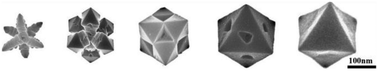 Graphical abstract: A self-defined intermediate product captured from the evolution process from a six-pod to an octahedral PbS sub-micrometer particle