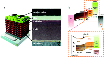 Graphical abstract: A hydro/oxo-phobic top hole-selective layer for efficient and stable colloidal quantum dot solar cells