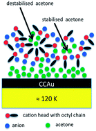 Graphical abstract: Interactions and stabilisation of acetone, sulfur dioxide and water with 1-octyl-3-methylimidazolium tetrafluoroborate [OMIM][BF4] at low temperatures