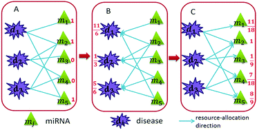 Graphical abstract: A novel method for identifying potential disease-related miRNAs via a disease–miRNA–target heterogeneous network