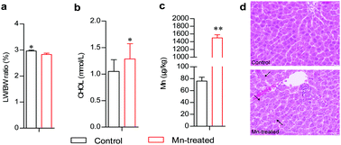 Graphical abstract: UHPLC-Q-TOF/MS based plasma metabolomics reveals the metabolic perturbations by manganese exposure in rat models
