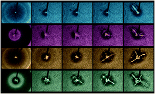 Graphical abstract: Capillary fracture of ultrasoft gels: variability and delayed nucleation