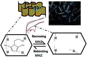 Graphical abstract: A novel metronidazole electrochemical sensor based on surface imprinted vertically cross-linked two-dimensional Sn3O4 nanoplates