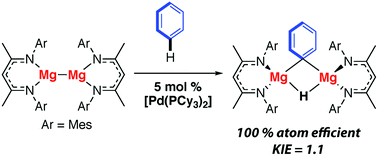Graphical abstract: Palladium-catalysed magnesiation of benzene