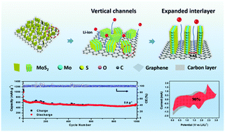 Graphical abstract: Designing vertical channels with expanded interlayers for Li-ion batteries