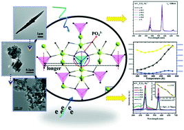 Graphical abstract: Luminescence and thermal stability enhancement by matrix luminescence center dispersion in Sc(V, P)O4: Dy3+ nano/submicron phosphors