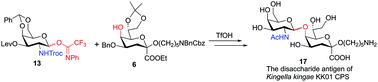 Graphical abstract: Synthesis of the β-linked GalNAc-Kdo disaccharide antigen of the capsular polysaccharide of Kingella kingae KK01