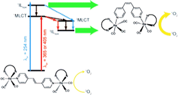 Graphical abstract: Photoisomerization of di-nuclear rhenium(i) bpe-based compounds