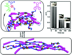 Graphical abstract: Self-healable gradient copolymers