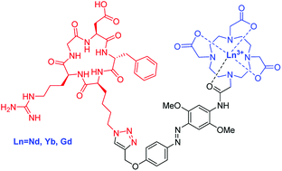 Graphical abstract: Near-infrared emitting lanthanide(iii) complexes as prototypes of optical imaging agents with peptide targeting ability: a methodological approach