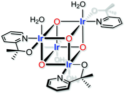 Graphical abstract: Evidence for tetranuclear bis-μ-oxo cubane species in molecular iridium-based water oxidation catalysts from XAS analysis