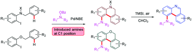 Graphical abstract: A carboxylate-assisted amination/unactivated C(sp2)–H arylation reaction via a palladium/norbornene cooperative catalysis