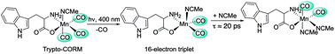 Graphical abstract: Insight into the mechanism of CO-release from trypto-CORM using ultra-fast spectroscopy and computational chemistry