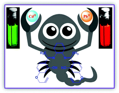 Graphical abstract: Biocompatible alkyne arms containing Schiff base fluorescence indicator for dual detection of CdII and PbII at physiological pH and its application to live cell imaging