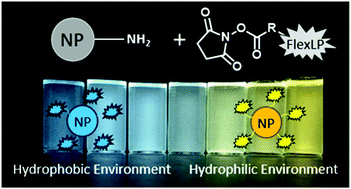 Graphical abstract: Stimuli-responsive flexible Lewis pair-modified nanoparticles for fluorescence imaging