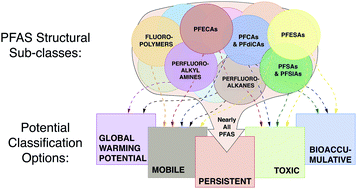 Graphical abstract: The high persistence of PFAS is sufficient for their management as a chemical class