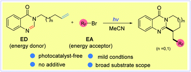 Graphical abstract: Photo-triggered self-catalyzed fluoroalkylation/cyclization of unactivated alkenes: synthesis of quinazolinones containing the CF2R group