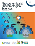 Graphical abstract: Inside front cover