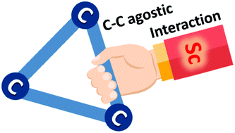 Graphical abstract: α-C–C agostic interactions and C–H bond activation in scandium cyclopropyl complexes