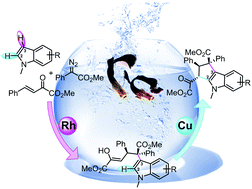Graphical abstract: Mechanistic insights into the rhodium–copper cascade catalyzed dual C–H annulation of indoles