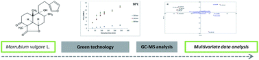 Graphical abstract: Supercritical CO2 extraction of Marrubium vulgare: intensification of marrubiin