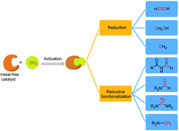 Graphical abstract: From CO2 activation to catalytic reduction: a metal-free approach