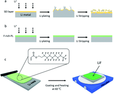 Graphical abstract: An in situ formed LiF protective layer on a Li metal anode with solvent-less cross-linking