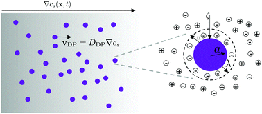 Graphical abstract: Diffusiophoresis: from dilute to concentrated electrolytes