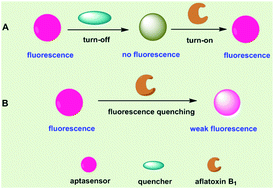 Graphical abstract: Recent progress in fluorescent aptasensors for the detection of aflatoxin B1 in food