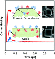 Graphical abstract: Facet-dependent carrier dynamics of cuprous oxide regulating the photocatalytic hydrogen generation