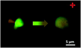 Graphical abstract: Chiral nematic liquid crystal droplets as a basis for sensor systems