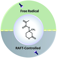 Graphical abstract: On the photopolymerization of mevalonic lactone methacrylate: exposing the potential of an overlooked monomer