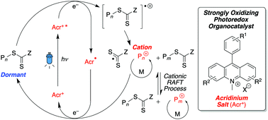 Graphical abstract: Acridinium salts as photoredox organocatalysts for photomediated cationic RAFT and DT polymerizations of vinyl ethers