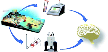 Graphical abstract: The exposome paradigm to predict environmental health in terms of systemic homeostasis and resource balance based on NMR data science