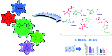 Graphical abstract: Design, synthesis and cytotoxic evaluation of a library of oxadiazole-containing hybrids