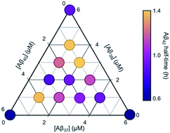 Graphical abstract: Amyloid-β peptide 37, 38 and 40 individually and cooperatively inhibit amyloid-β 42 aggregation