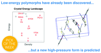 Graphical abstract: How many more polymorphs of ROY remain undiscovered