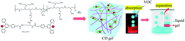 Graphical abstract: Carbon nanodot-induced Eu3+-based fluorescent polymeric hydrogel for excellent phase-separation absorption of VOC