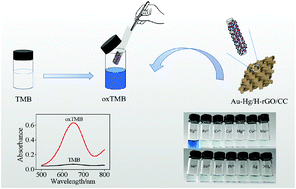 Graphical abstract: Mimetic peroxidase based on a gold amalgam for the colorimetric sensing of trace mercury(ii) in water samples