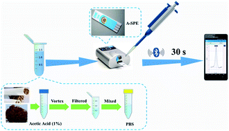 Graphical abstract: A simple and rapid approach for on-site analysis of nicotine in tobacco based on a screen-printed electrode as an electrochemical sensor