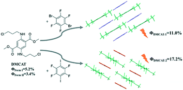 Graphical abstract: Enhanced luminescence of single-benzene fluorescent molecules through halogen bond cocrystals