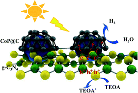 Graphical abstract: MOF nanosheet-derived carbon-layer-coated CoP/g-C3N4 photocatalysts with enhanced charge transfer for efficient photocatalytic H2 generation