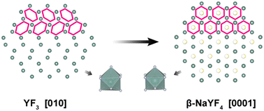 Graphical abstract: A topotactic structural transformation synthetic route for β-NaYF4 upconversion nanocrystals from YF3 at room temperature
