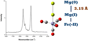 Graphical abstract: Mg(i)–Fe(–ii) and Mg(0)–Mg(i) covalent bonding in the MgnFe(CO)4− (n = 1, 2) anion complexes: an infrared photodissociation spectroscopic and theoretical study