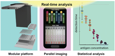 Graphical abstract: Real-time, smartphone-based processing of lateral flow assays for early failure detection and rapid testing workflows