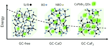 Graphical abstract: Modulating the local structure of glass to promote in situ precipitation of perovskite CsPbBr3 quantum dots by introducing a network modifier
