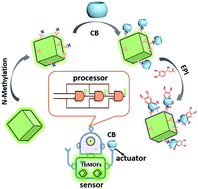 Graphical abstract: A 2-in-1 multi-functional sensor for efficient epinephrine detection based on a cucurbit[7]uril functionalized lanthanide metal–organic framework and its intelligent application in a molecular robot