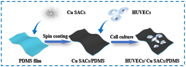 Graphical abstract: Cu single-atom catalyst-based flexible hydrogen peroxide electrochemical sensor with oxygen resistance for monitoring ROS bursts